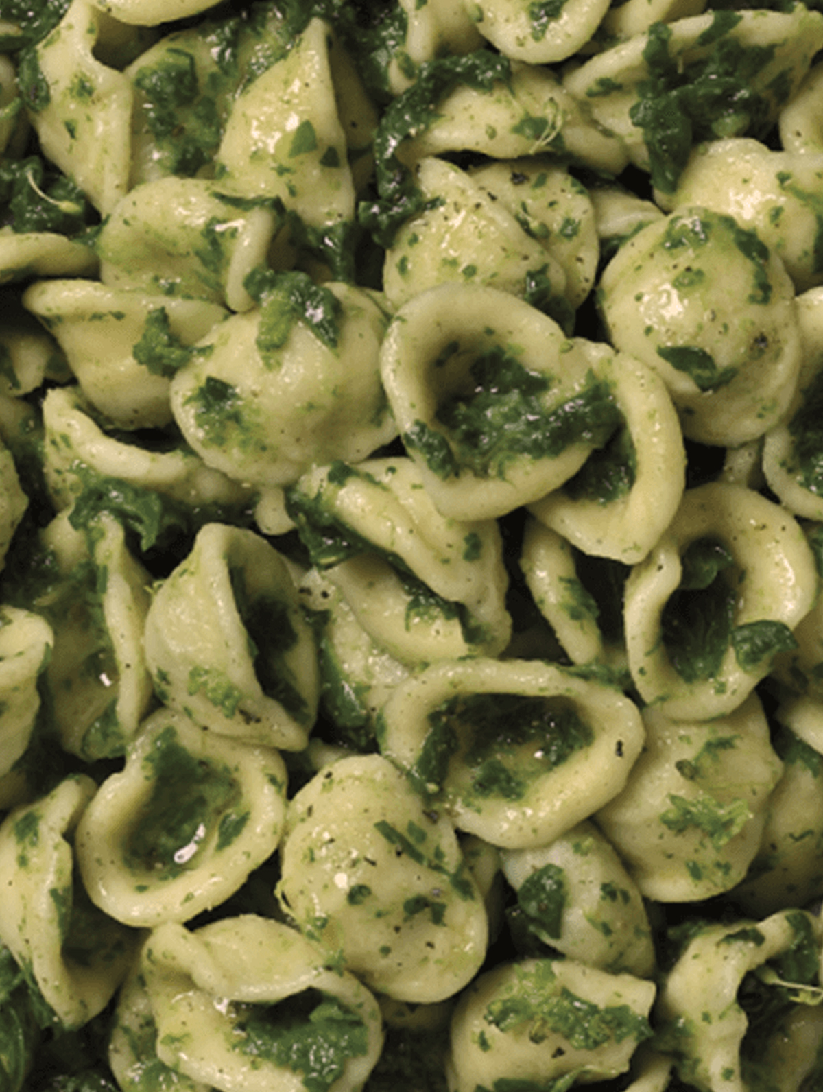 box_turismo_orecchiette